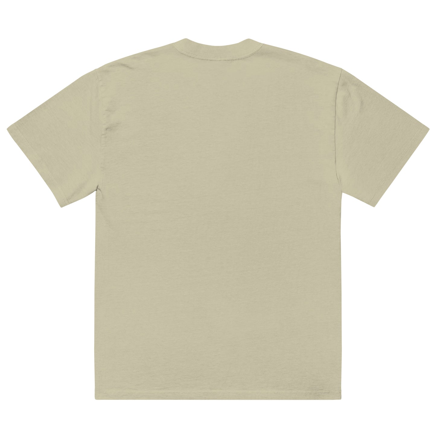 Faded Eucalyptus Oversized Tee